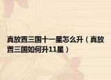 真放置三国十一星怎么升（真放置三国如何升11星）