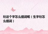 壮这个字怎么组词呢（生字壮怎么组词）
