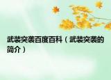武装突袭百度百科（武装突袭的简介）