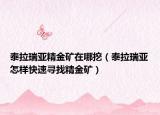 泰拉瑞亚精金矿在哪挖（泰拉瑞亚怎样快速寻找精金矿）