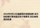 2022年9月13日最新相关报道消息 官方回应餐厅里老鼠在包子旁理毛 还在食物旁边乱窜