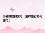 小蜜蜂如何充电（蜜蜂出行如何充电）