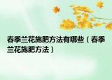 春季兰花施肥方法有哪些（春季兰花施肥方法）