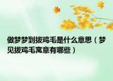做梦梦到拔鸡毛是什么意思（梦见拔鸡毛寓意有哪些）