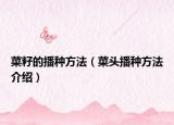 菜籽的播种方法（菜头播种方法介绍）