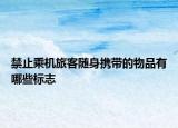 禁止乘机旅客随身携带的物品有哪些标志