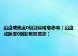 胎盘成熟度0级到底啥意思啊（胎盘成熟度0级到底啥意思）