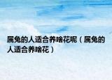 属兔的人适合养啥花呢（属兔的人适合养啥花）