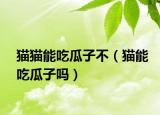 猫猫能吃瓜子不（猫能吃瓜子吗）