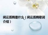 闲云孤鹤是什么（闲云孤鹤歌词介绍）