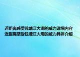 近距离感受钱塘江大潮的威力详细内容 近距离感受钱塘江大潮的威力具体介绍