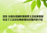 震惊 女朋友用塑料笼屉蒸土豆结果笼屉化没了土豆还在具体情况详细内容介绍