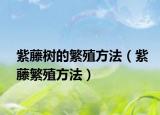 紫藤树的繁殖方法（紫藤繁殖方法）