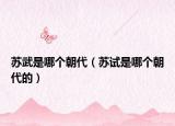 苏武是哪个朝代（苏试是哪个朝代的）