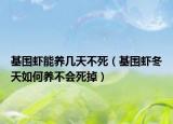 基围虾能养几天不死（基围虾冬天如何养不会死掉）