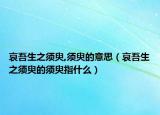 哀吾生之须臾,须臾的意思（哀吾生之须臾的须臾指什么）
