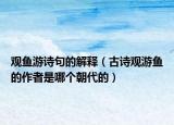 观鱼游诗句的解释（古诗观游鱼的作者是哪个朝代的）
