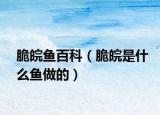 脆皖鱼百科（脆皖是什么鱼做的）