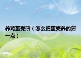 养鸡蛋壳薄（怎么把蛋壳养的薄一点）
