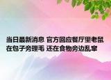 当日最新消息 官方回应餐厅里老鼠在包子旁理毛 还在食物旁边乱窜