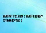 桑葚榨汁怎么做（桑葚汁的制作方法是怎样的）