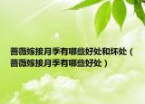 蔷薇嫁接月季有哪些好处和坏处（蔷薇嫁接月季有哪些好处）