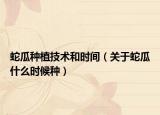 蛇瓜种植技术和时间（关于蛇瓜什么时候种）