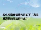 怎么发海参最佳方法如下（家庭发海参的方法有什么）