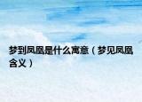 梦到凤凰是什么寓意（梦见凤凰含义）