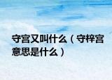 守宫又叫什么（守梓宫意思是什么）