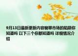 9月13日最新更新内容翡翠市场的陷阱你知道吗 以下三个你都知道吗 详细情况介绍