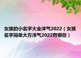 女孩的小名字大全洋气2022（女孩名字简单大方洋气2022有哪些）