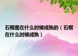 石榴是在什么时候成熟的（石榴在什么时候成熟）