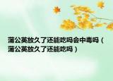 蒲公英放久了还能吃吗会中毒吗（蒲公英放久了还能吃吗）