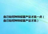 自己如何种辣椒苗产量才高一点（自己如何种辣椒苗产量才高）