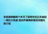 安倍遇刺都两个多月了却意外在日本掀起一场巨大风波 因这件事具体情况详细内容介绍