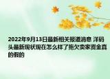 2022年9月13日最新相关报道消息 洋码头最新现状现在怎么样了拖欠卖家资金真的假的