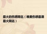 最火的伤感网名（唯美伤感最潮最火网名）