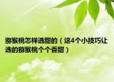 猕猴桃怎样选甜的（这4个小技巧让选的猕猴桃个个香甜）
