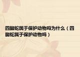四脚蛇属于保护动物吗为什么（四脚蛇属于保护动物吗）