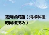 栽海椒间距（海椒种植时间和技巧）