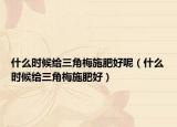 什么时候给三角梅施肥好呢（什么时候给三角梅施肥好）
