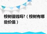 桉树值钱吗?（桉树有哪些价值）