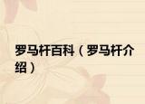 罗马杆百科（罗马杆介绍）