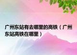 广州东站有去哪里的高铁（广州东站高铁在哪里）