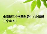 小清新三个字网名男生（小清新三个字id）