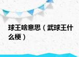 球王啥意思（武球王什么梗）