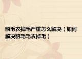 貂毛衣掉毛严重怎么解决（如何解决貂毛毛衣掉毛）