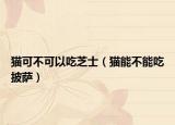 猫可不可以吃芝士（猫能不能吃披萨）