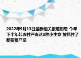 2022年9月13日最新相关报道消息 今年下半年起农村严查这3种小生意 被抓住了都要受严惩